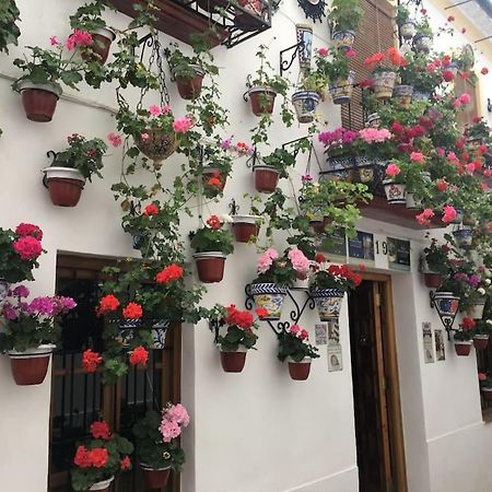 Apartamento Zoco Кордоба Екстериор снимка