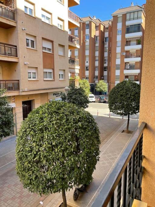Apartamento Zoco Кордоба Екстериор снимка